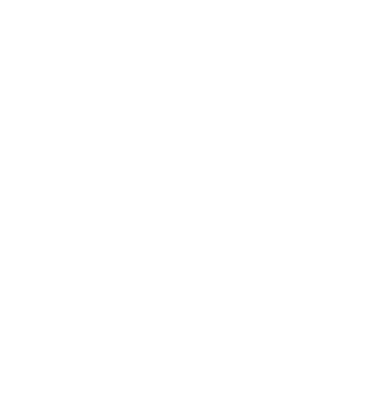 Dawson International Film Festival logo